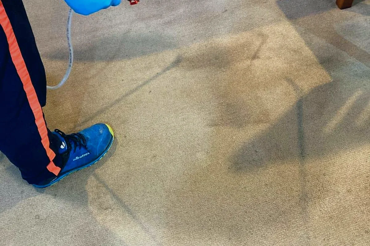Carpet cleaning service scene